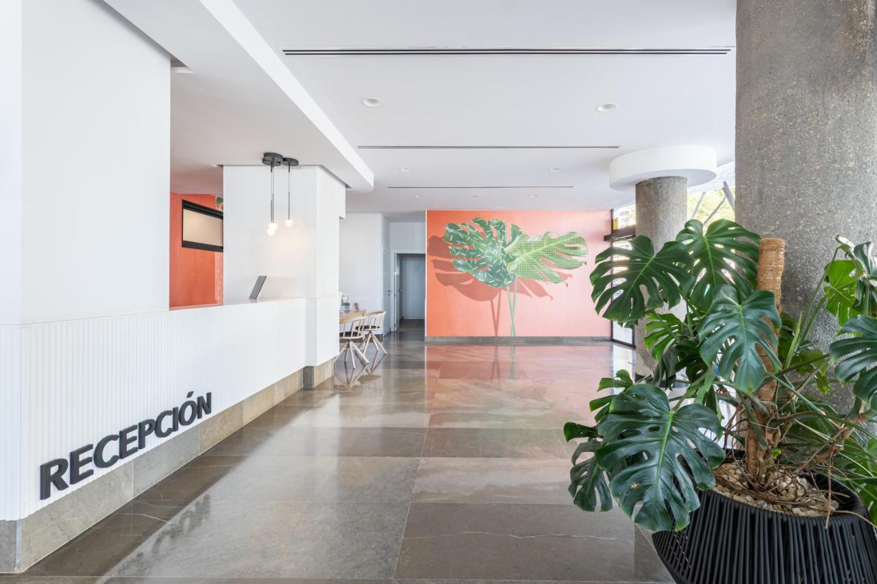 Hotel Cimbel เบนิดอร์ม ภายนอก รูปภาพ